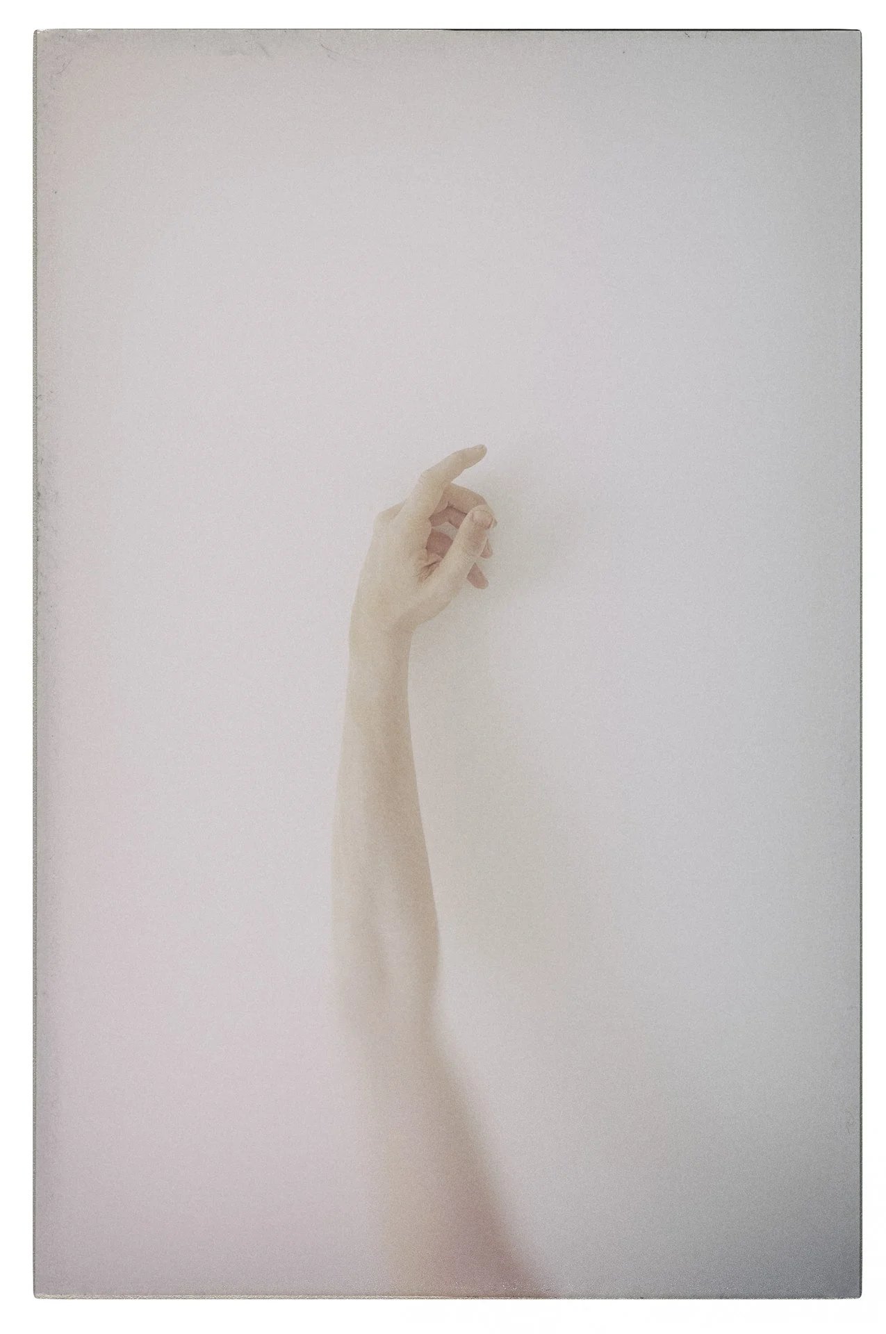 PERSONAL — Eolo Perfido, 1