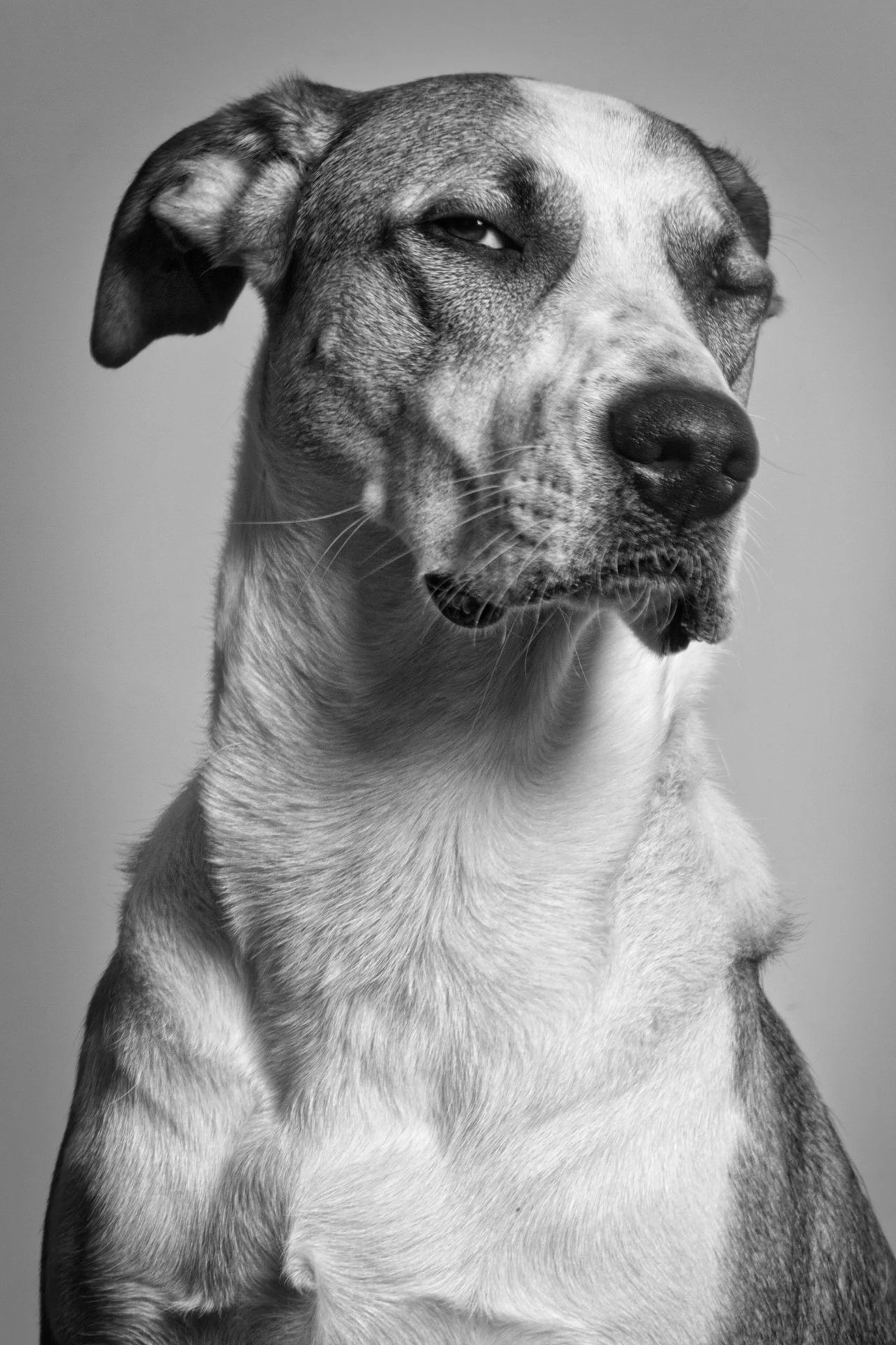 EDITORIAL — Eolo Perfido, 174